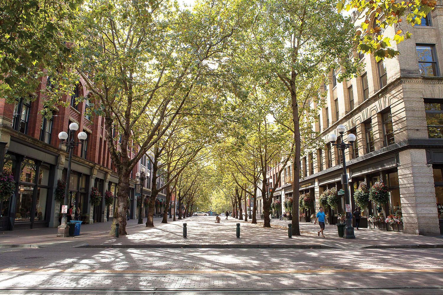 Pointee Square Neighborhood Guide: The best things to eat and do in Pioneer Square ...