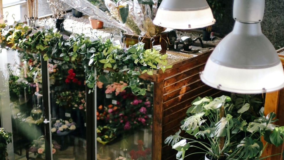 Calgary’s new plant and flower pop-up updates hours pop-up garden centre