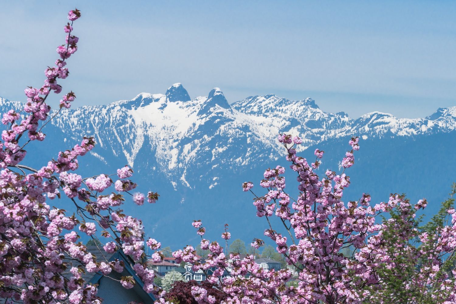 Cold Canadian Spring The Farmer’s Almanac just released its Canadian spring forecast - Curiocity