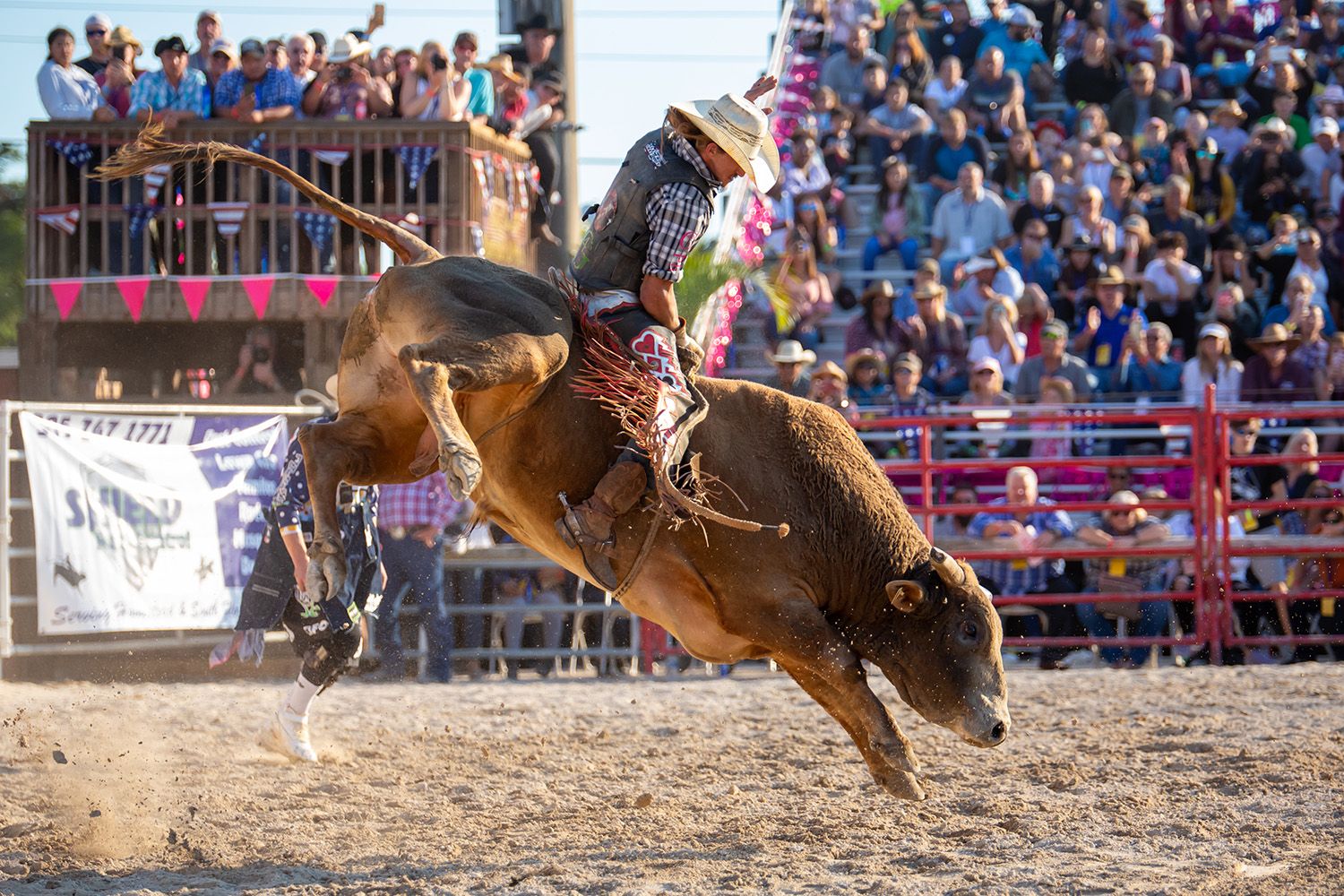 What the buck?! Rodeo could actually be named the official sport of ...
