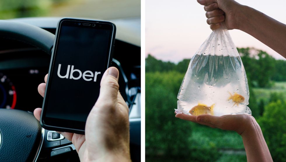 Poutine & a fish among Uber Canada's 'most unique lost items' list for 2021