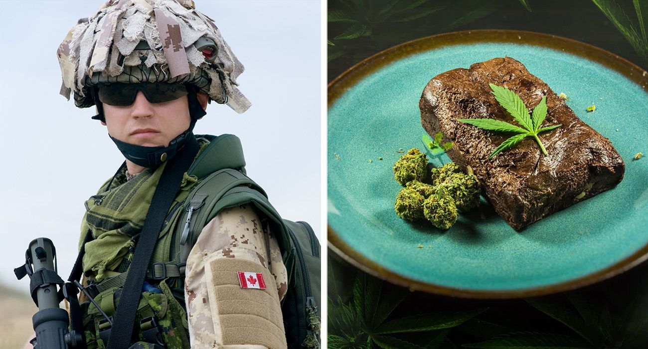 Canadian Army member allegedly drugged unit with weed cupcakes before ...