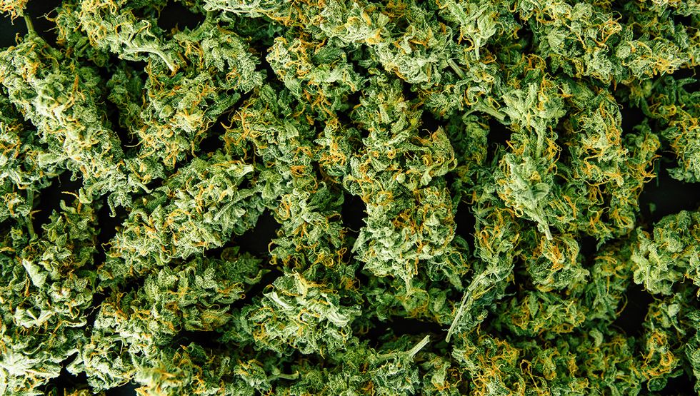 canadian free weed joints for jabs vaccine lottery