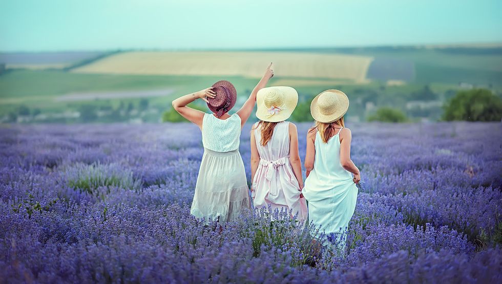 metro vancouver lavender farm