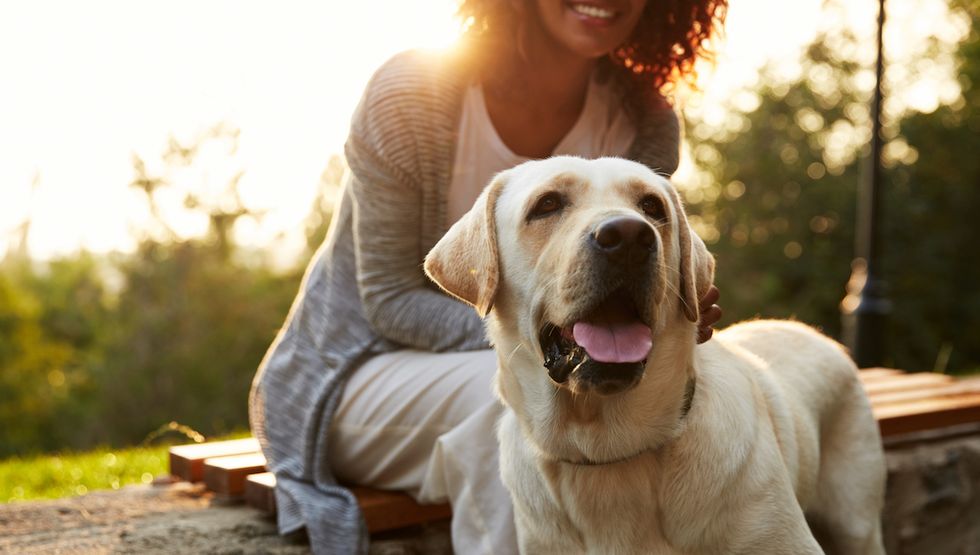 Check out this pop up for you and your four legged friends this weekend in Pioneer Square seattle