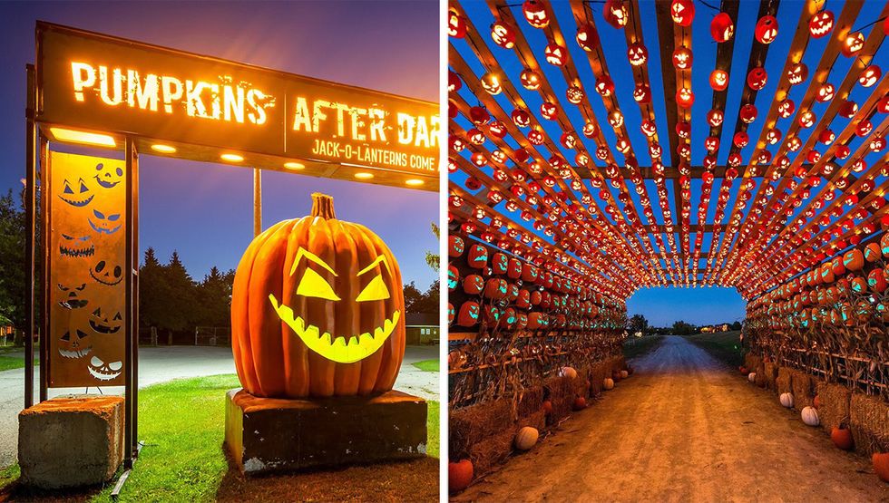 pumpkins after dark calgary