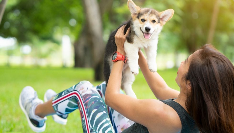 puppy yoga