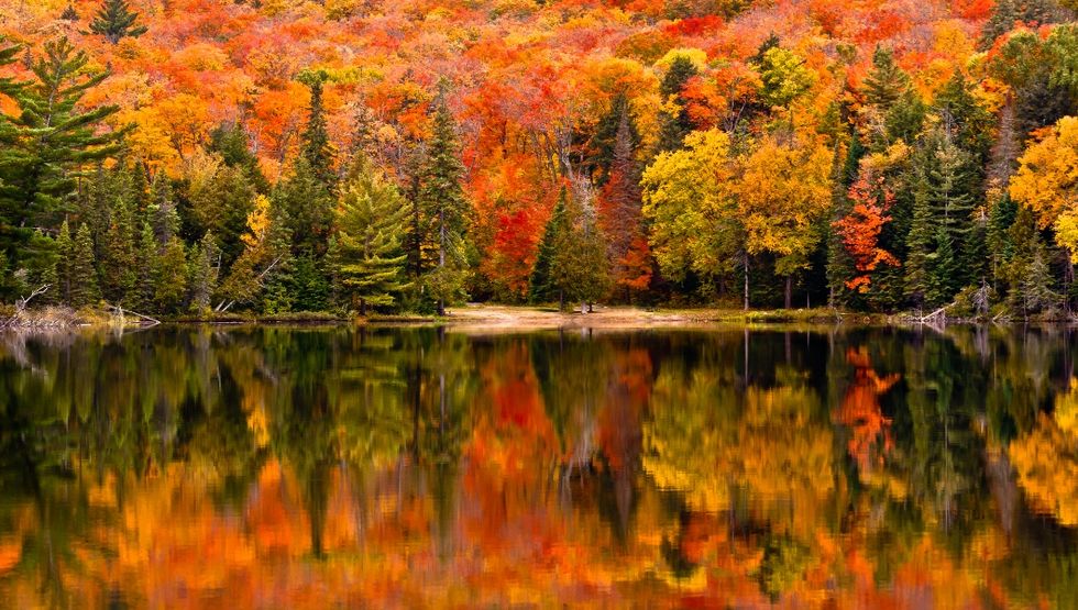BeFunky-collage-7 when to see fall colours in ontario