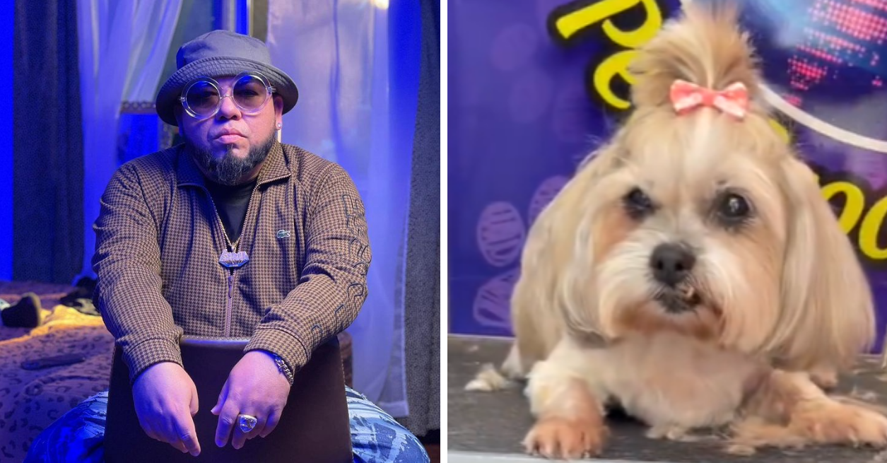 Dog Isle Rapper A missing Calgary dog was just found by a popular rapper in Florida