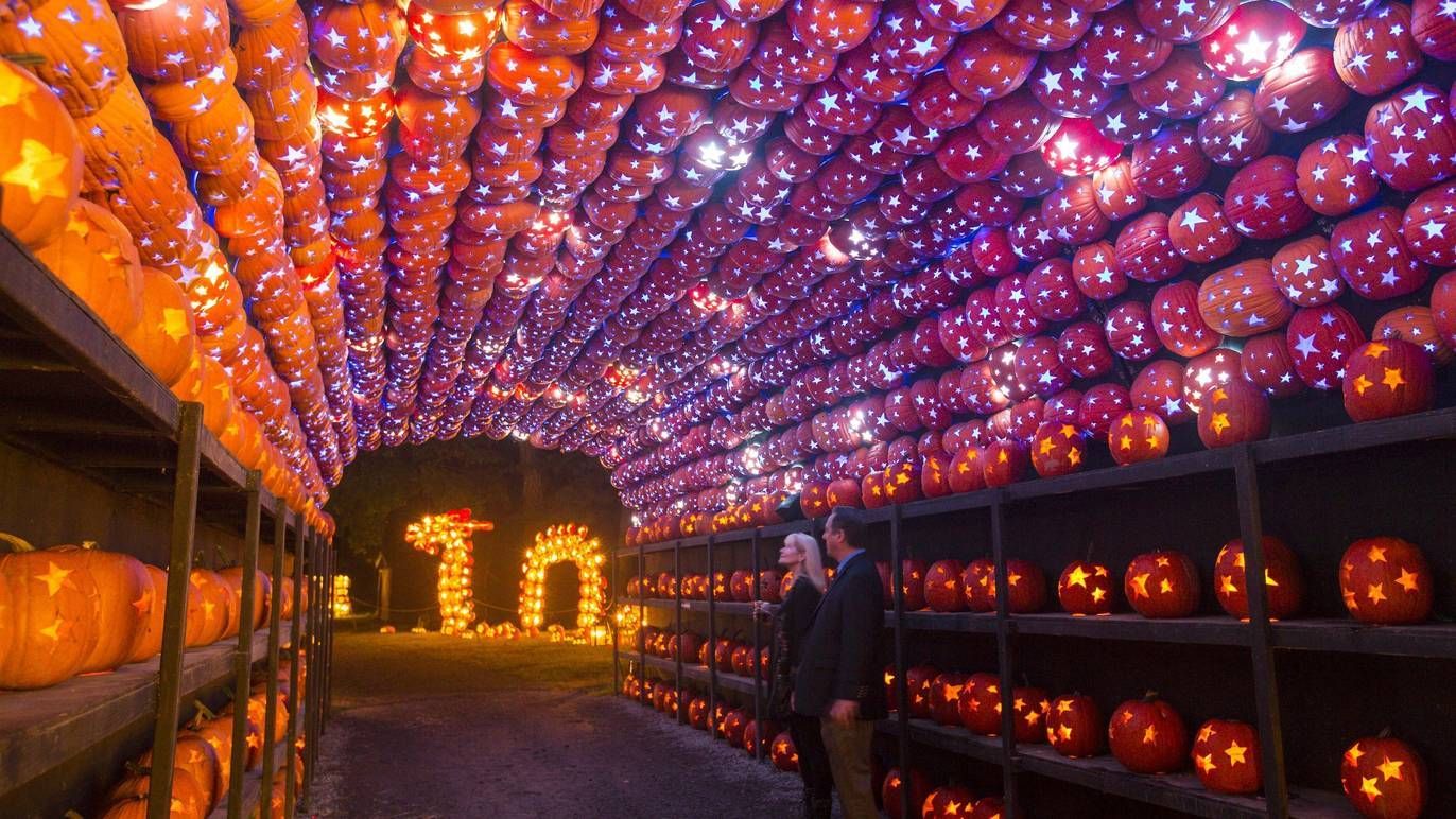 10 of the best things to do in Calgary this weekend (October 1-3)