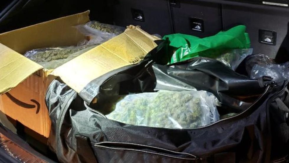 BeFunky-collage (23) ontario driver caught with weed