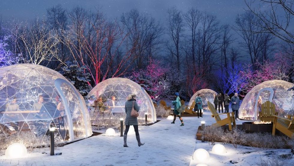 northern light dining experience