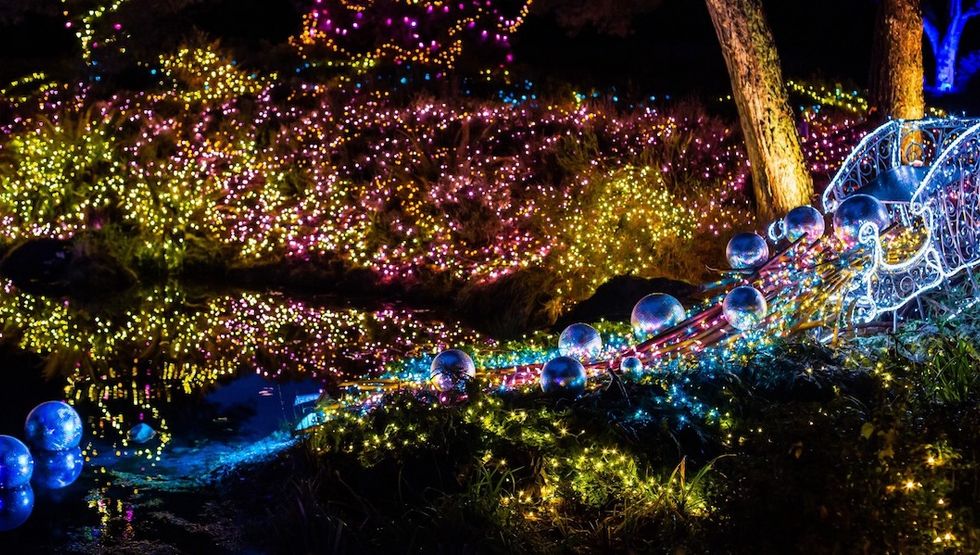 10 of the best things to do in Vancouver this weekend (November 22-26) vandusen botanical garden