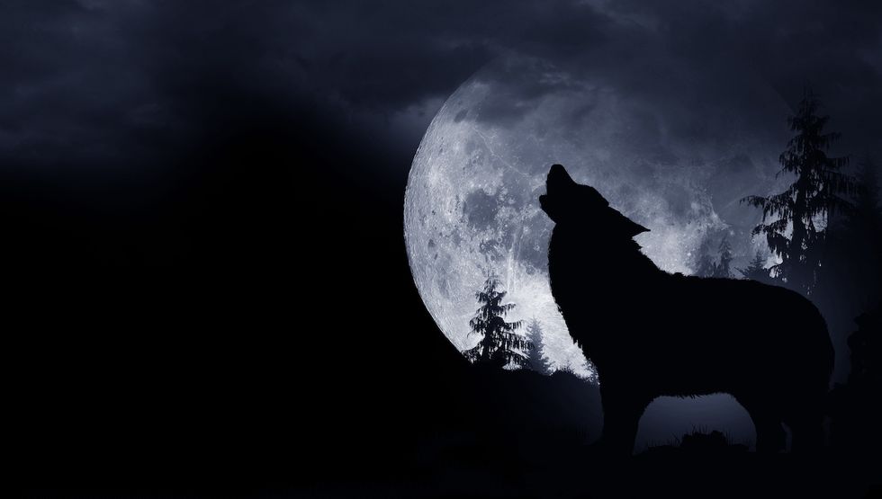 full moon 2022