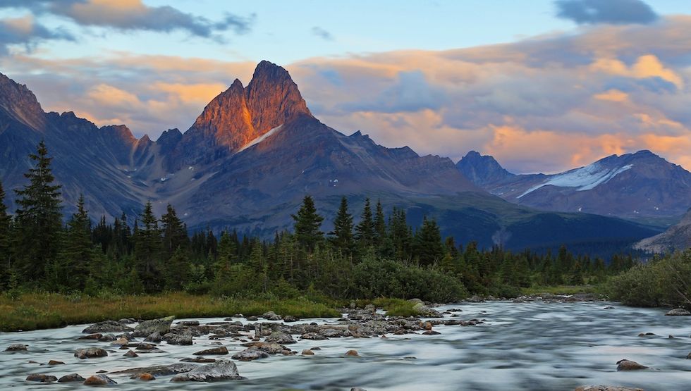 jasper national park vista