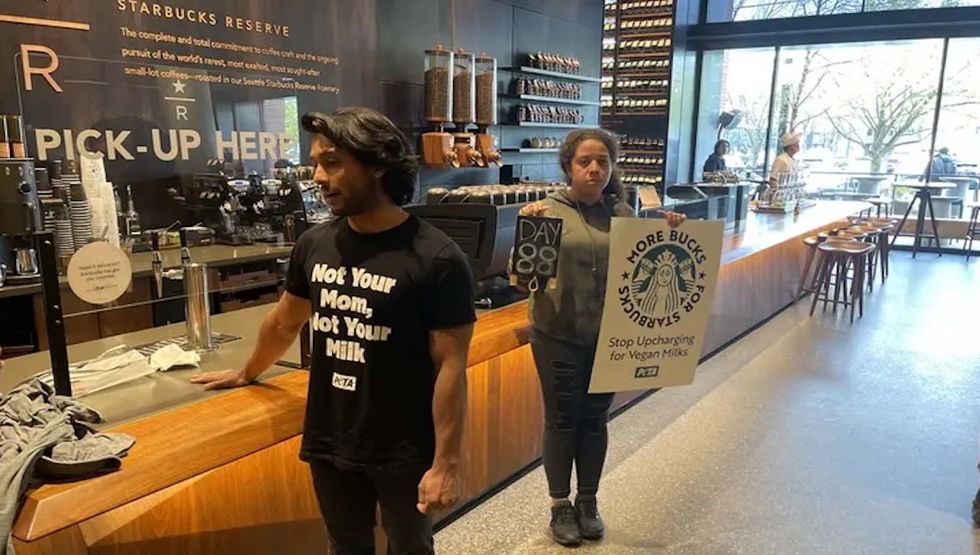 starbucks headquarters
