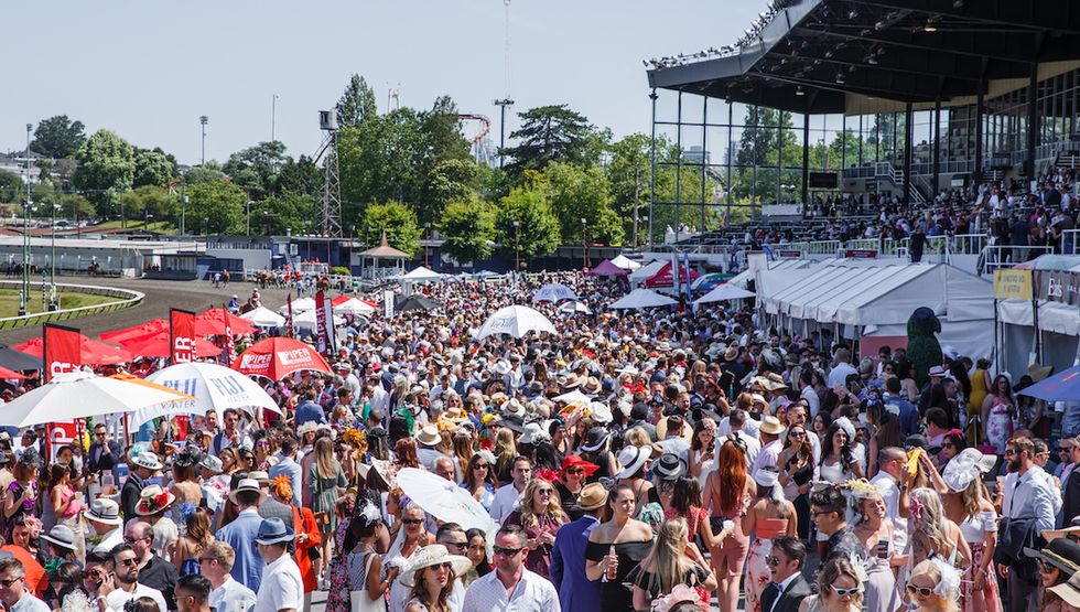 the cup hastings racecourse july 2022