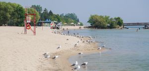 Best nude beaches in Ontario to sun your buns this summer