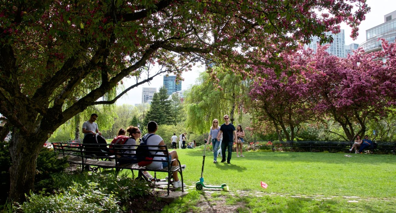 Toronto weather will finally feel like spring again & here's when