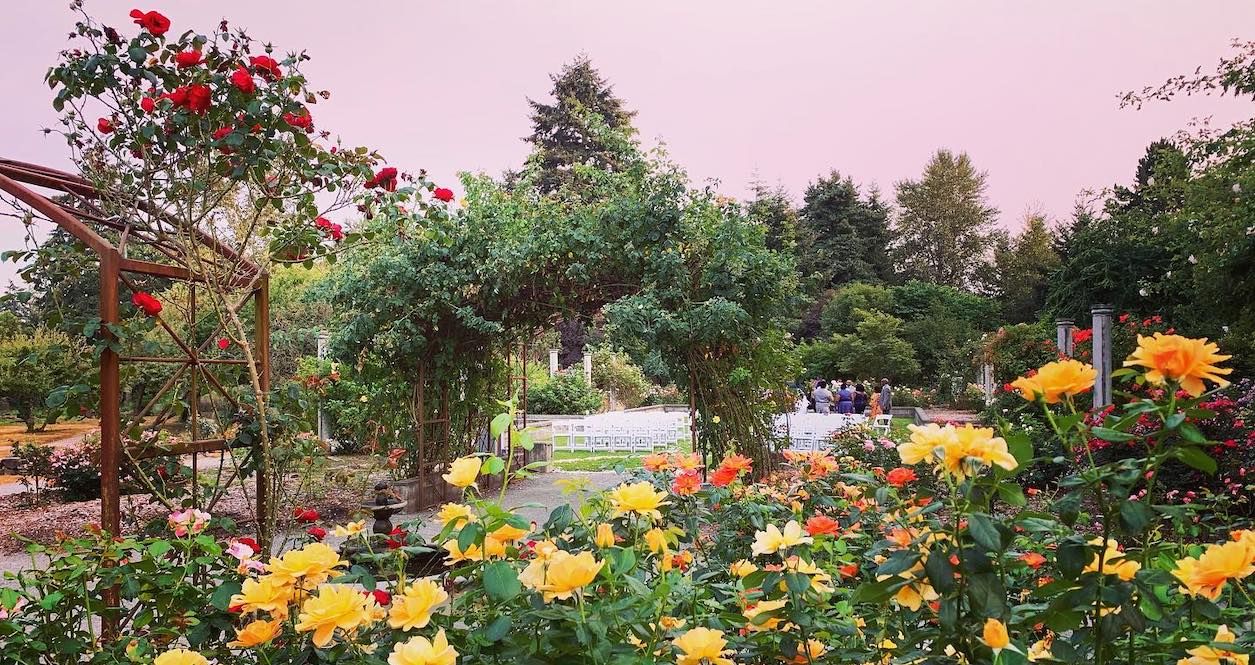 This historic Seattle botanical gem is full of abundant flowers, 7