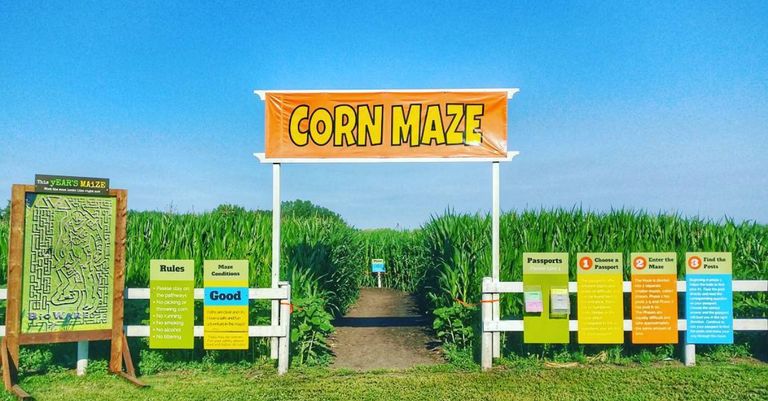 You can get lost in these Alberta corn mazes this summer