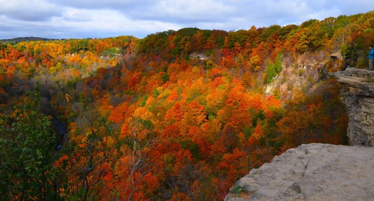 Best places to see fall colours in Ontario: 8 spots to put on your list