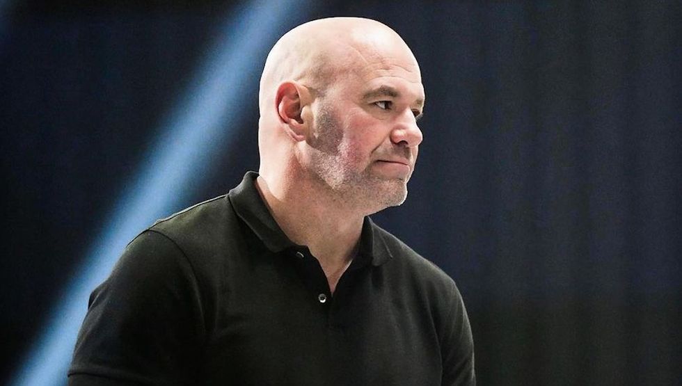 dana white