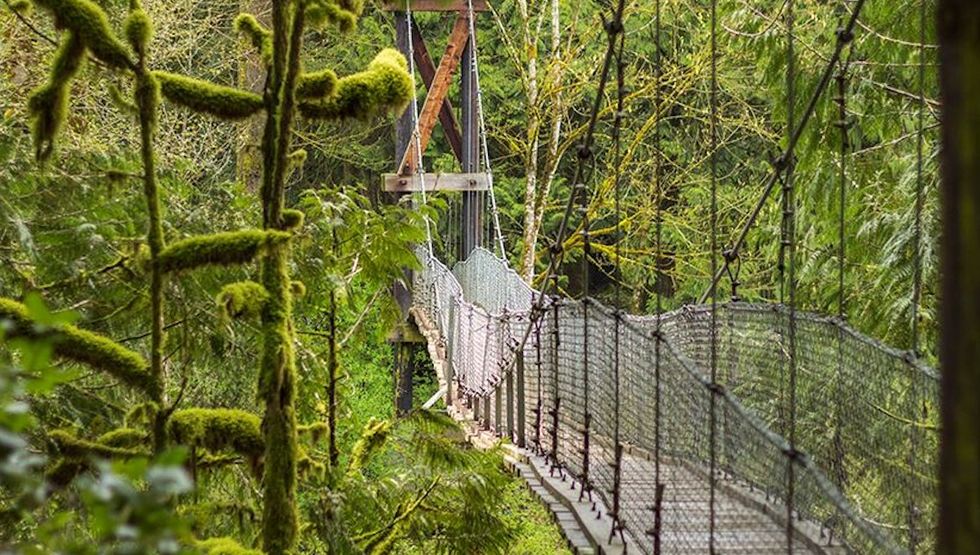 bright angel park bc