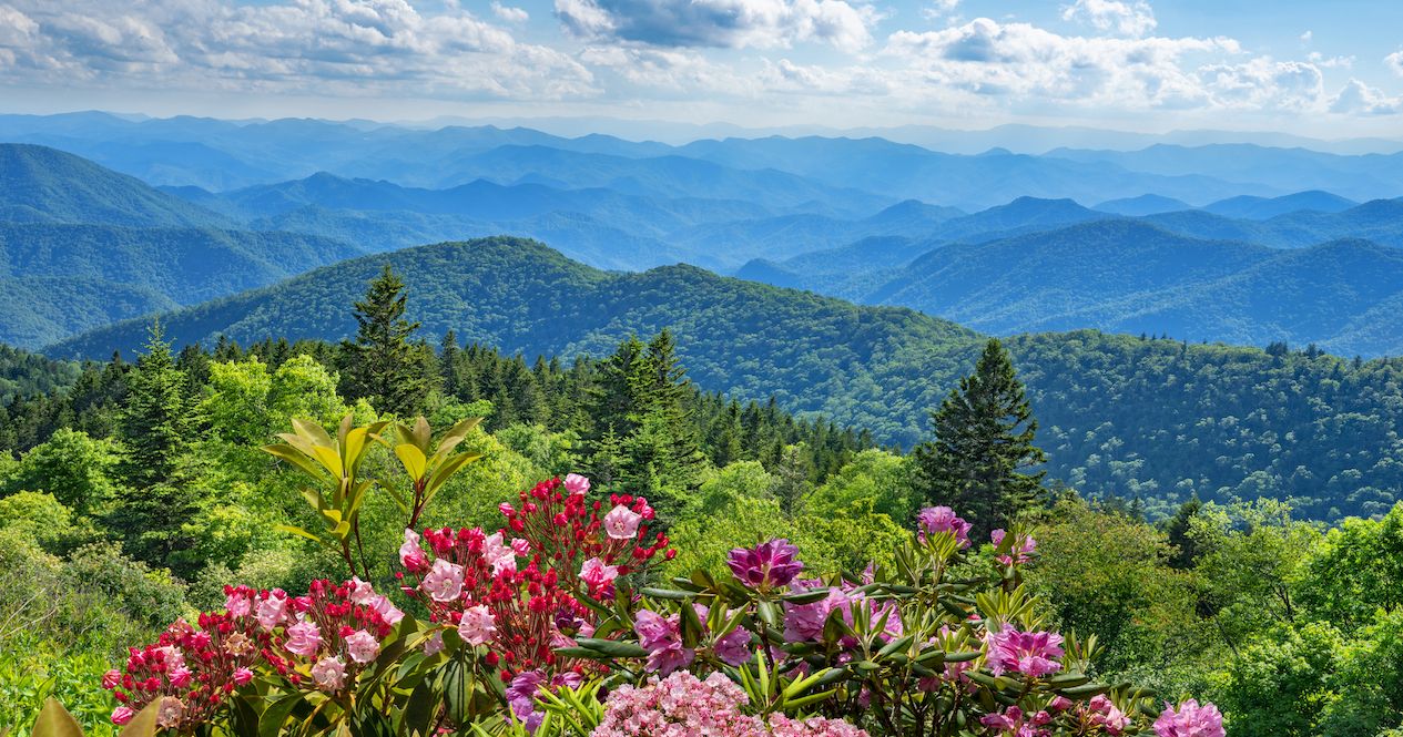 はろうきてぃ　MOUNTAIN MEADOWS Mountain Meadows - Our Work in CA