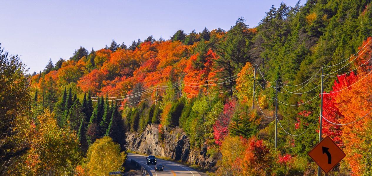 Here's when to visit Algonquin Provincial Park in Ontario this fall Here's when to visit Algonquin Provincial Park in Ontario this fall