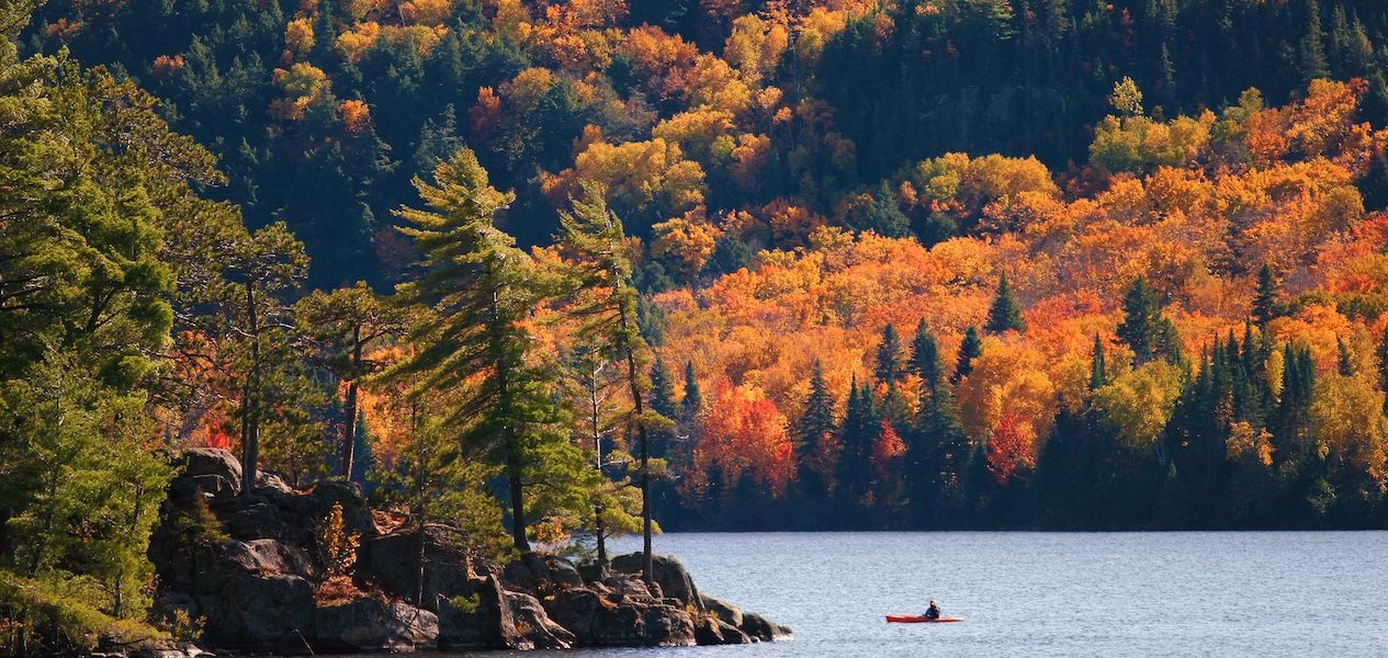 Algonquin Provincial Park has a second peak of fall colours