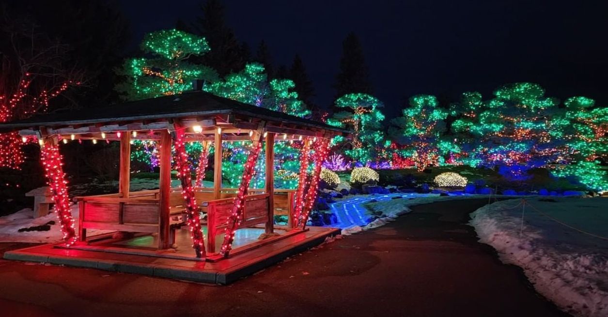 Dazzling lights will illuminate Alberta's enchanting Japanese garden