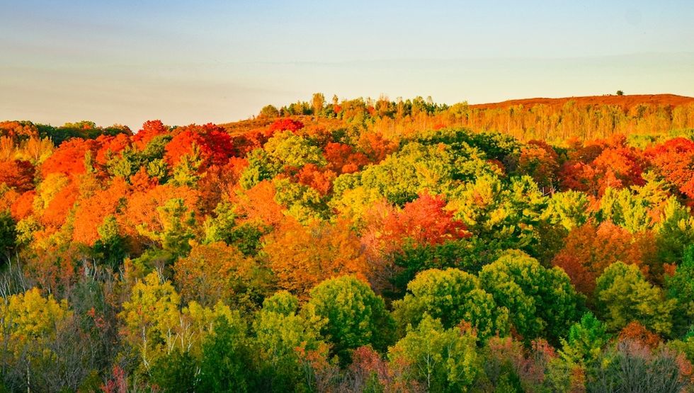 Rouge National Urban Park