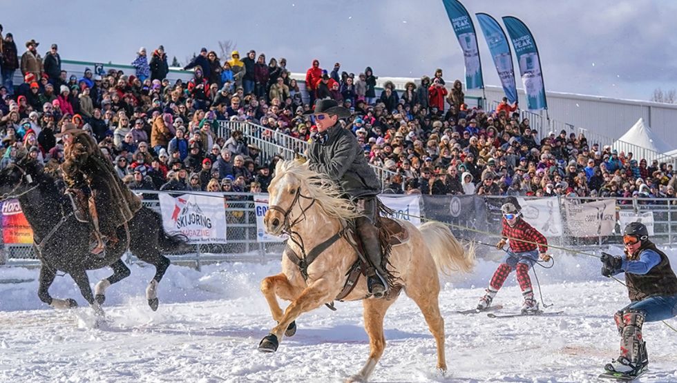 16 of the best thing to do this weekend in Calgary (Feb 14-17)