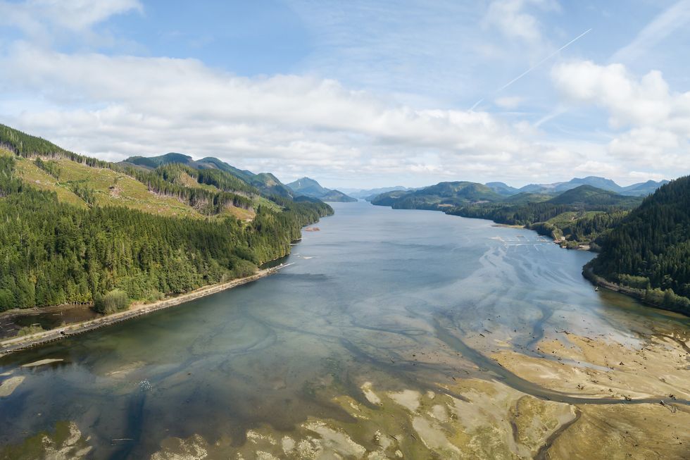 holberg bc