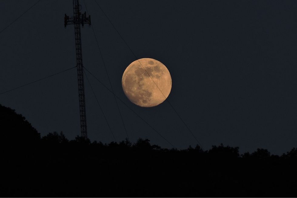 strawberry full moon