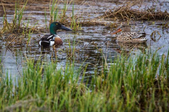 Calgary's Confederation Park is 160 hectares of pristine parkland