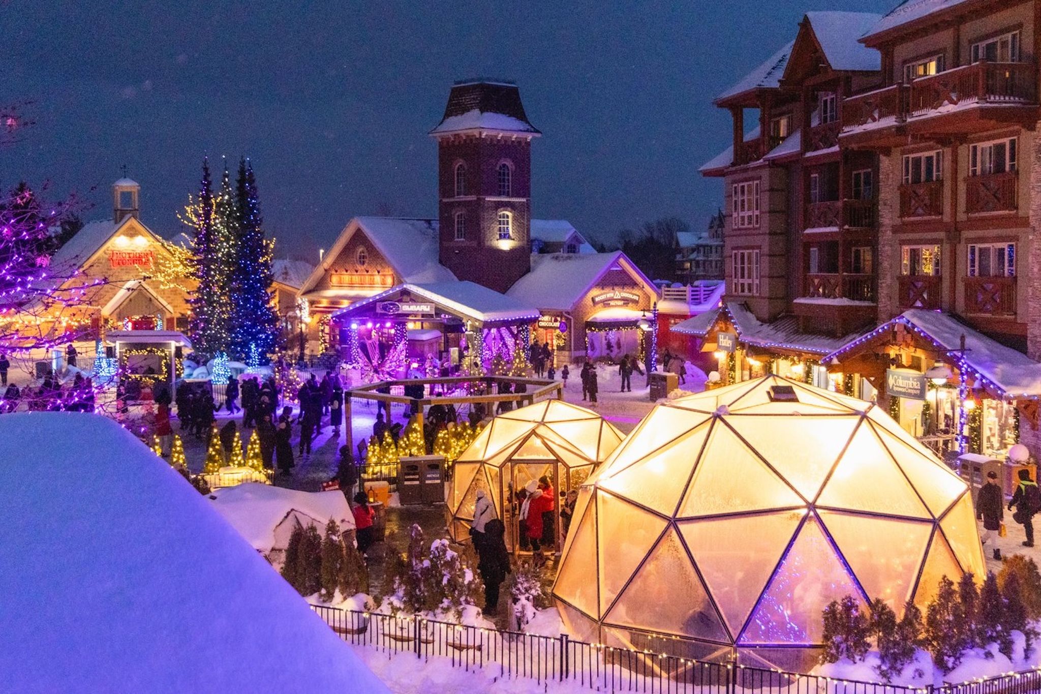 There’s a magical holiday experience with a glowing light trail and snow dome garden in Ontario