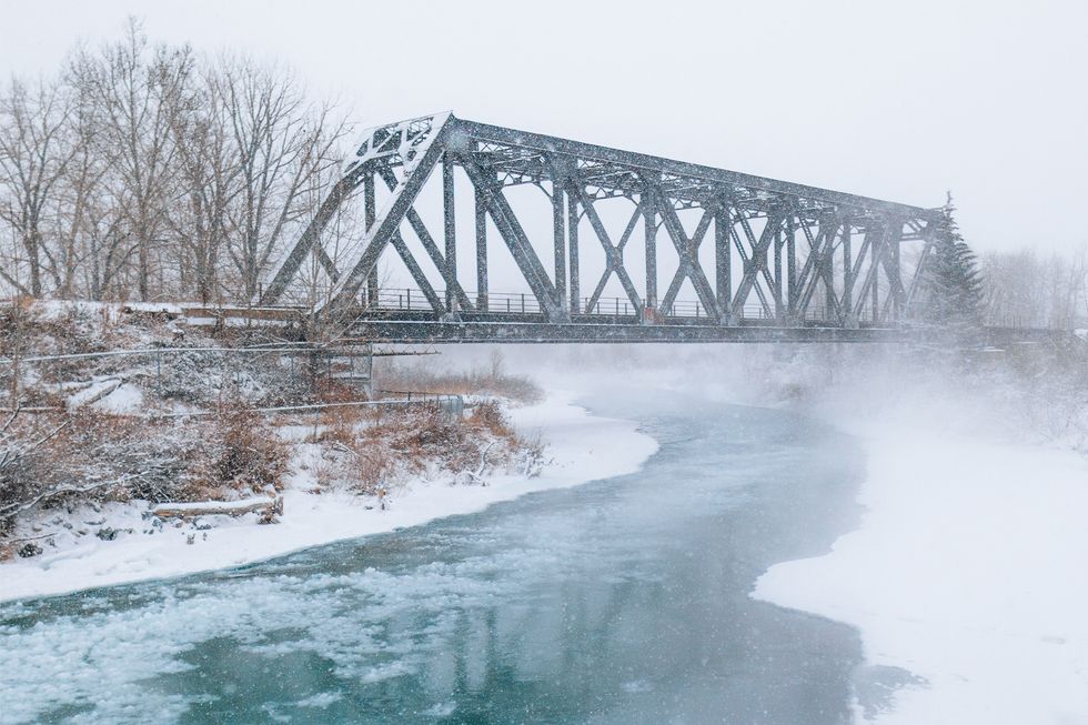 curiocity calgary things to do week nov. 17 to 21