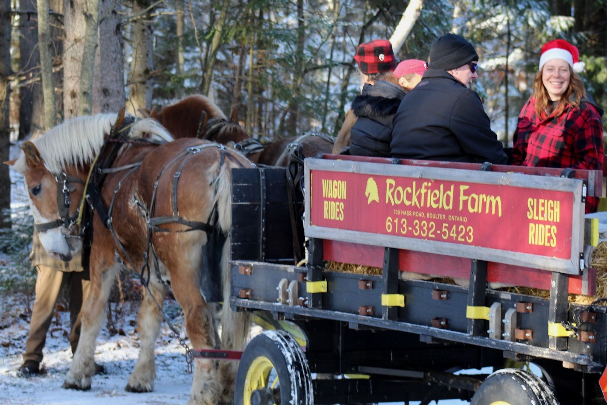 A festive holiday market is popping up at an Ontario park with horse-drawn sleigh rides