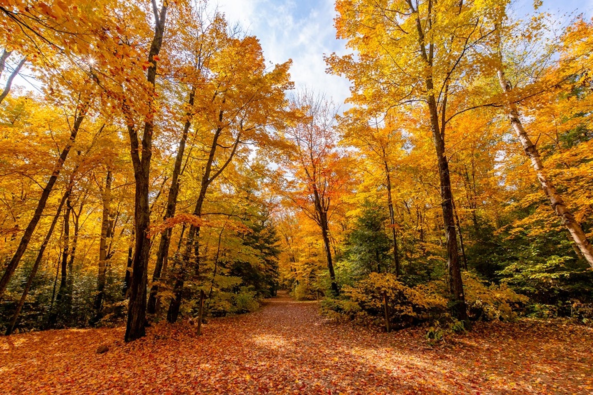 Explore these lesser-known Ontario parks for fall foliage