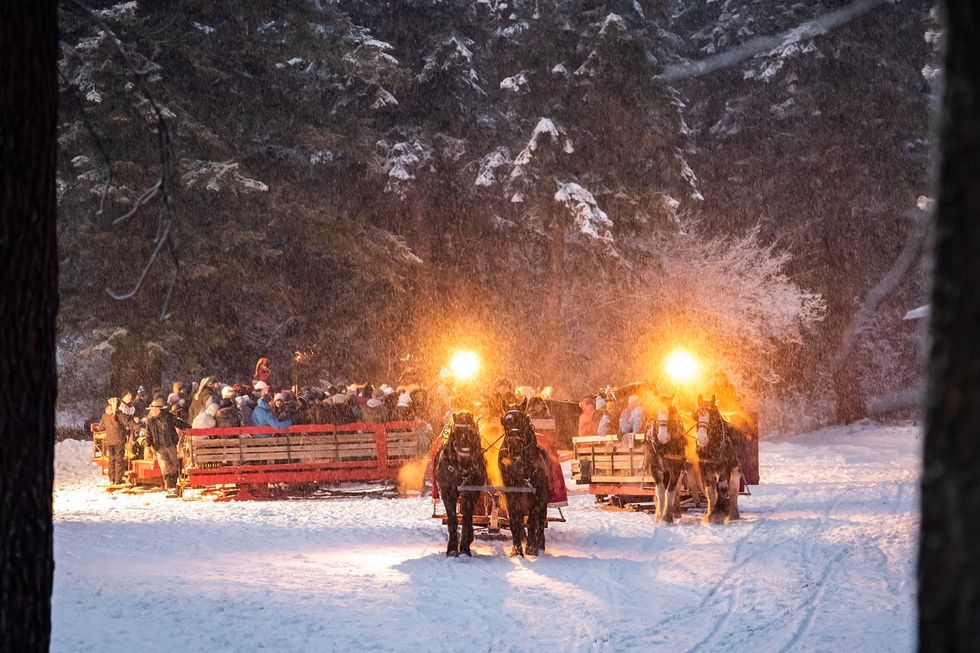 vernon bc winter sleigh ride show