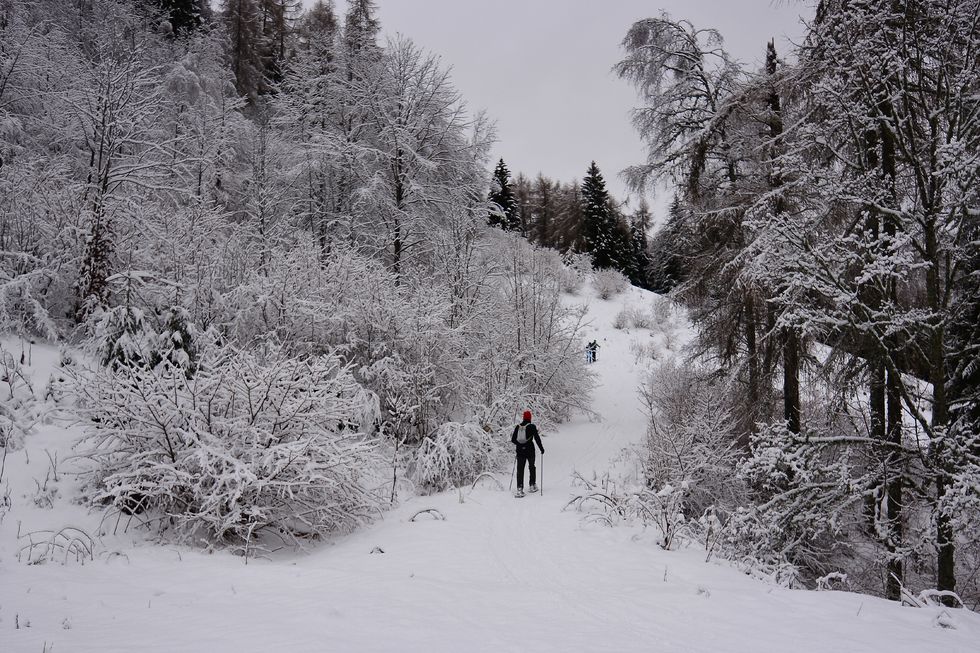 curiocity calgary best places to snowshoe