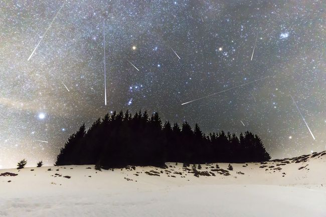 curiocity calgary geminid meteor shower alberta