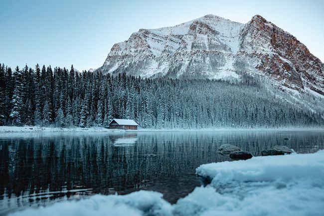 curiocity calgary lake louise banff national park