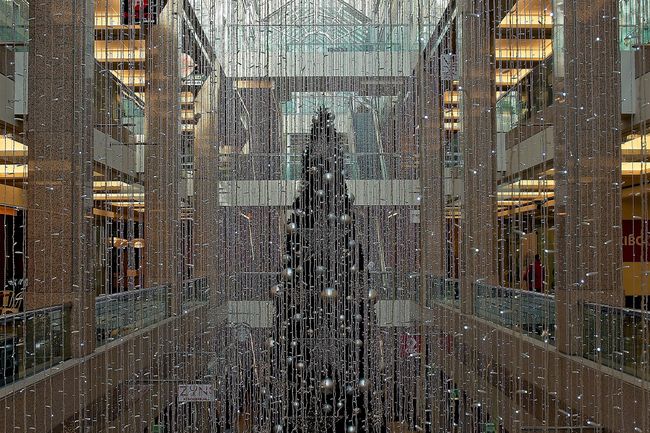 curiocity calgary open and closed christmas day