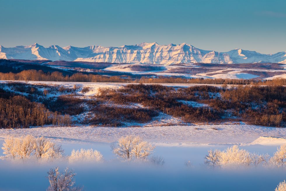curiocity calgary things to do this week dec. 8 to 12 alberta