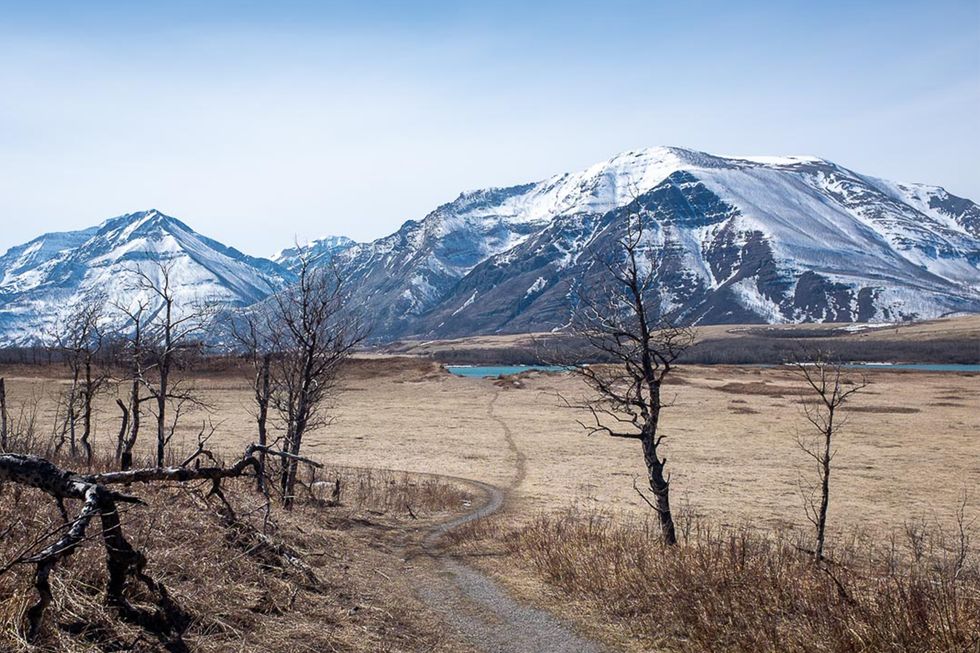 curiocity-calgary-wishbone-trail curiocity calgary wishbone trail waterton lakes national park