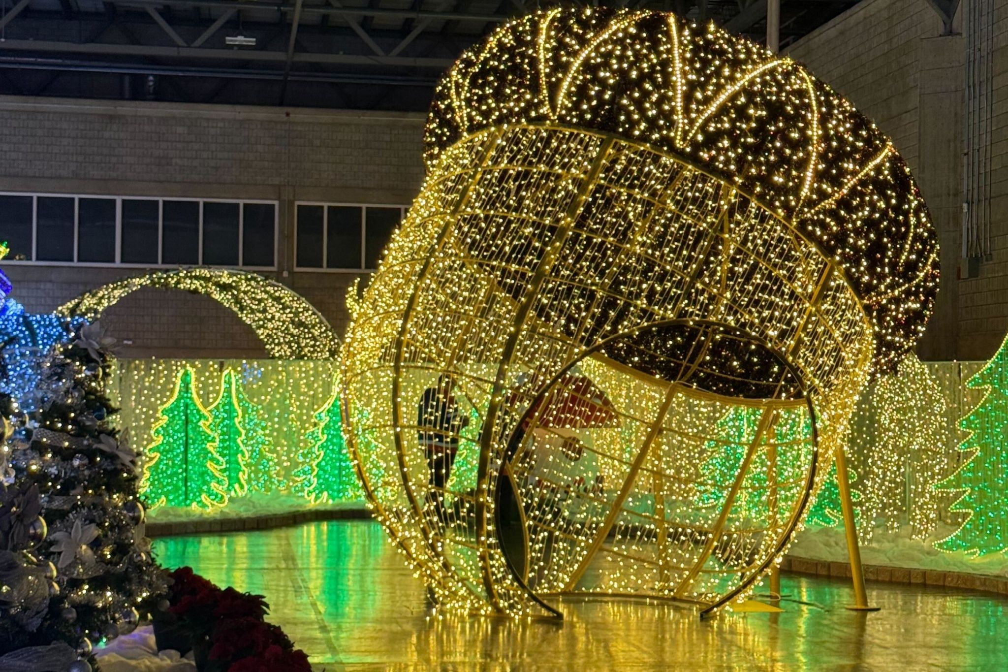 11 fun things to do this weekend in and around Edmonton (Dec. 12-14) 11 fun things to do this weekend in and around Edmonton (Dec. 12-14)