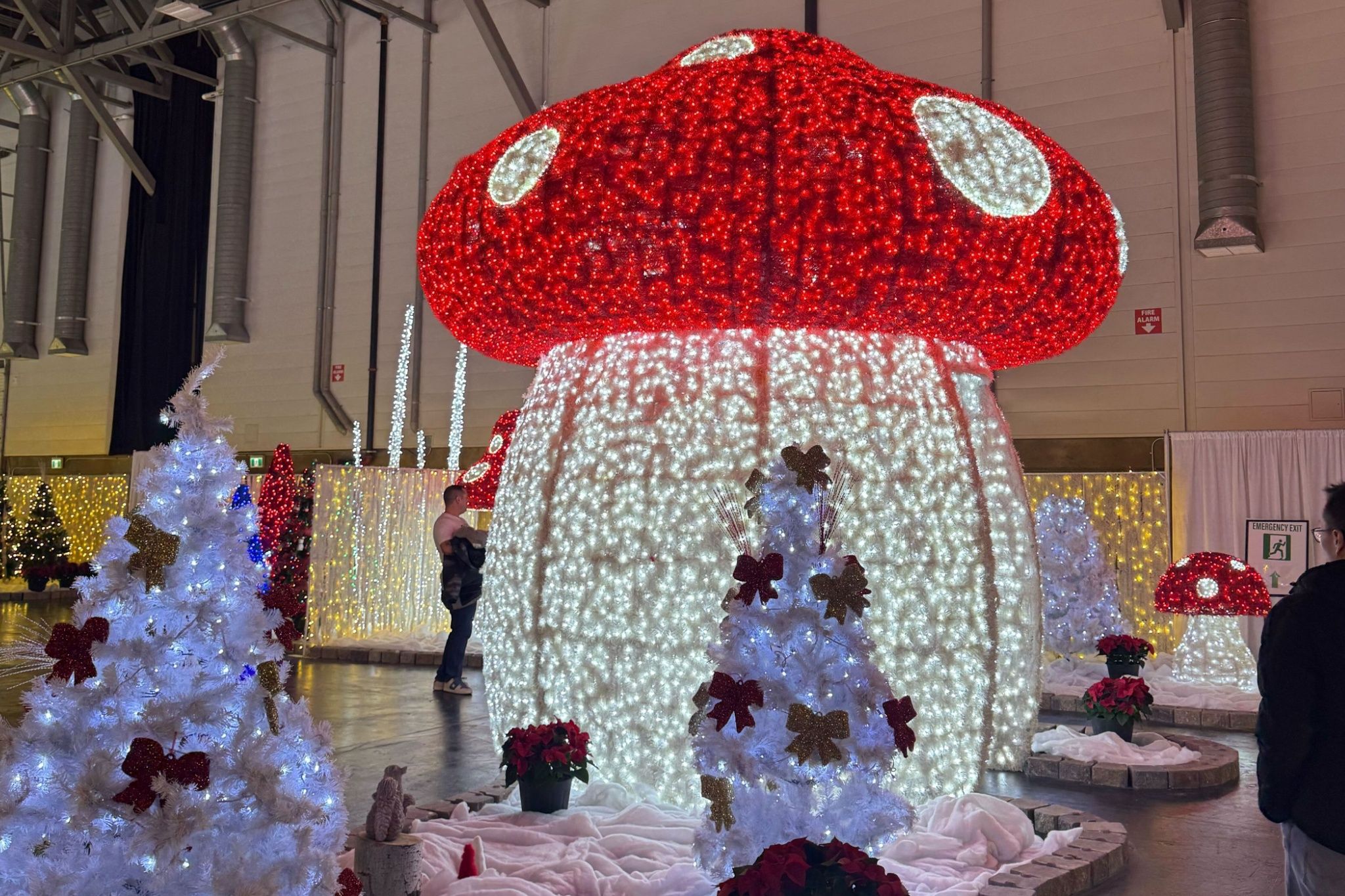 10 things to do this week in and around Edmonton (Dec. 15-19)